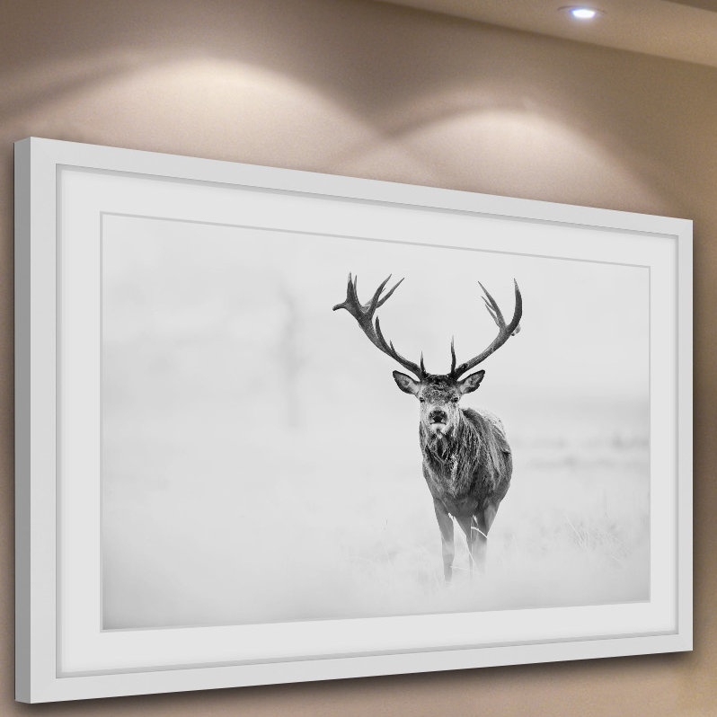 Elk Stare par Marmont Hill - reproduction de cadre photo, H 12 po x l 18 po x 1,5 po, Cadre blanc