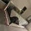 Customer photo 2 of 2