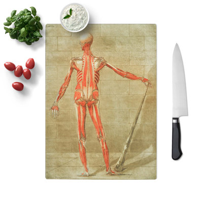 Tempered Glass Anatomical Illustration of a Male No. 7 Chopping Board