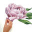 Adhésif décoratif pivoine Avendano