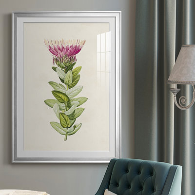 Pretty Pink Botanicals IV - Single Picture Frame Print
