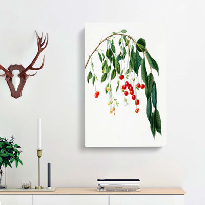 Visciola Cherry Tree by Giorgio Gallesio - Wrapped Canvas