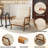 Lemley 25.6'' W Solid Wood Armchair with Lumbar Support -411286202