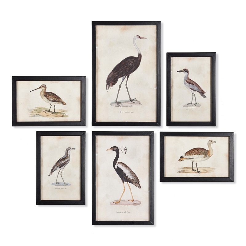 «Waterfowl Gallery», ensemble de 6 cadres photo