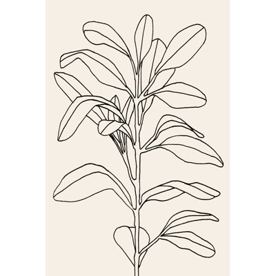 Olive Branch Shape I by Emma Scarvey - Wrapped Canvas Painting