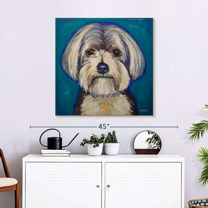 Maltese Yorkie