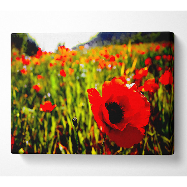 ClassicLiving Red Poppy Fields In Golden Sunlight - Wrapped Canvas ...