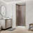 Pivot Frameless Shower Door