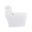 Toilette allongée monobloc DeerValley Prism-94830784-118612916