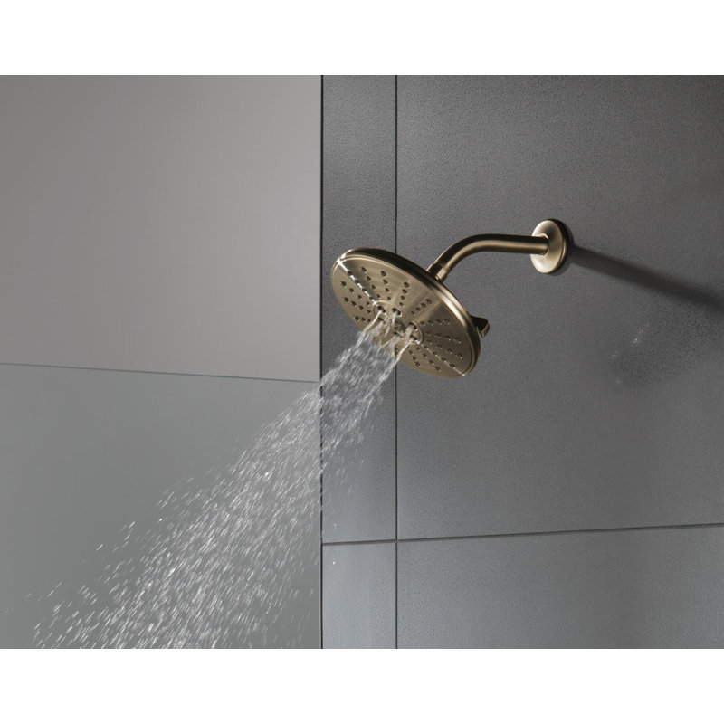 Rain Adjustable Shower Head with H2Okinetic Technology, Champagne Bronze