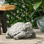 Statue tortue d'extérieur, gris foncé, sans assemblage requis