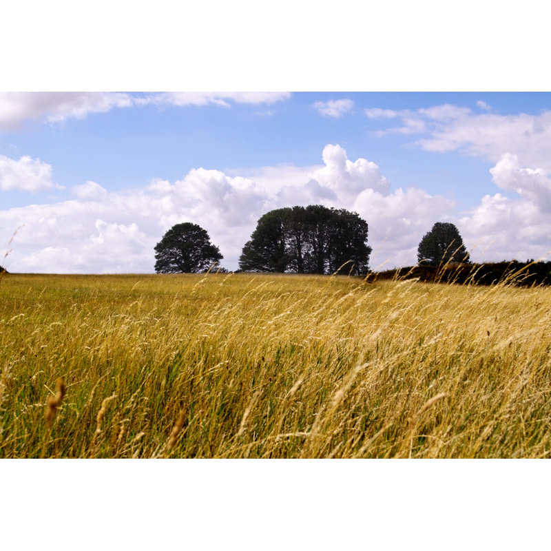 English Meadow - Wrapped Canvas Print, 30cm H x 46cm W