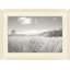 Windy Grasses Print by Lillian August