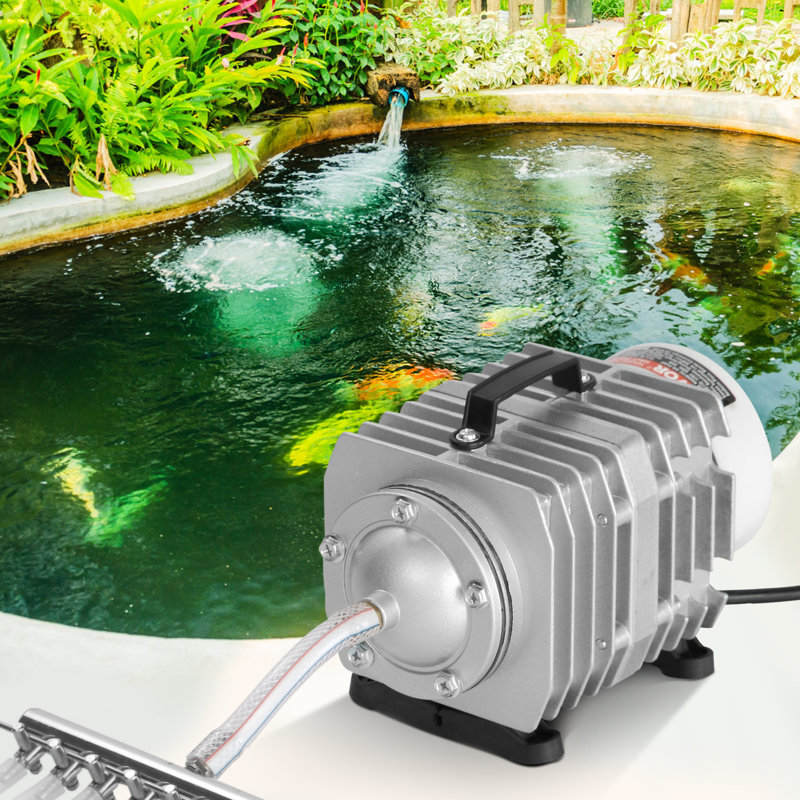Rogene Plug-in Pump