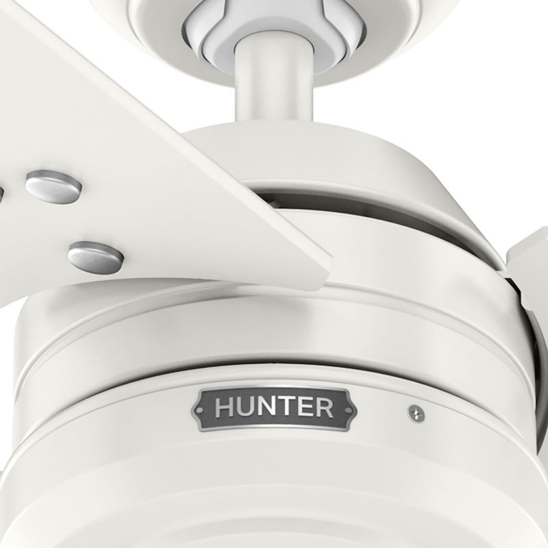 Hunter 36 inch Cassius Damp Rated Ceiling Fan with Pull Chain