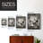 Focused Buck Framed Print - Solid Wood-588142014-588142008