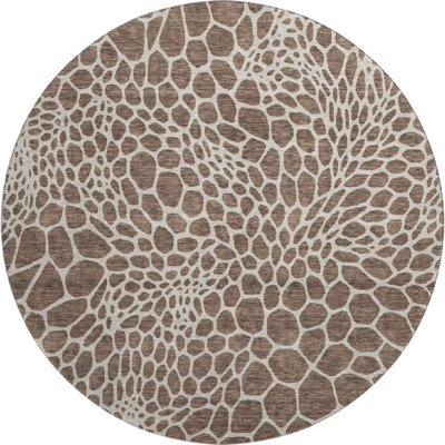 Premium Machine Washable Prisco Brown Rug