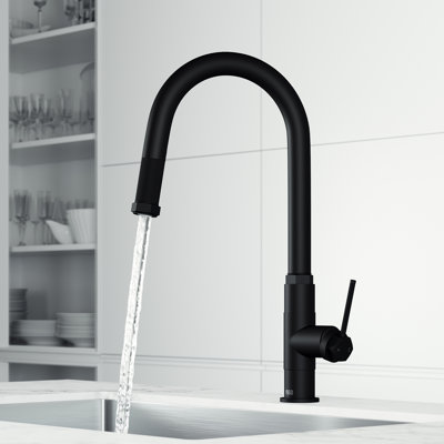 Hart 18 H 1-handle Pull-Down Kitchen Faucet