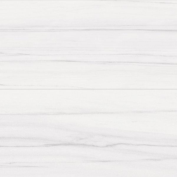 Frost 24X48 Dolomite