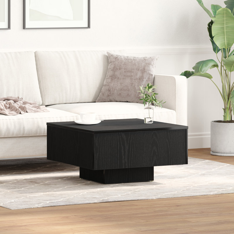 Coffee Table with Storage