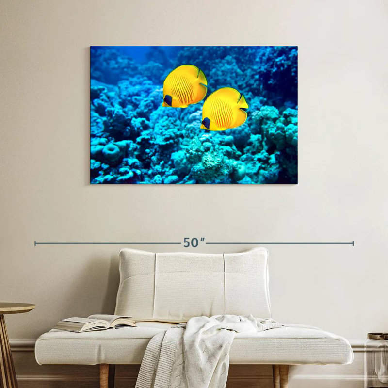 Underwater Butterflyfish Duo