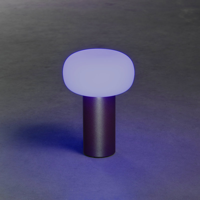 Antibes Cordless Table Lamp - USB Rechargeable, RGB Dimmable LED, Elegant Design, Brown