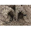 Tapis noir et blanc Oliver