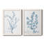 "Antique Botanical In Blue VII", ensemble de 2 peintures sur toile encadrées-1089950151-1089950172