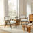 Upholstered Accent Armchair Set Of 2-1704304231
