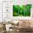Alvord Green Bamboo Pathway-107952013