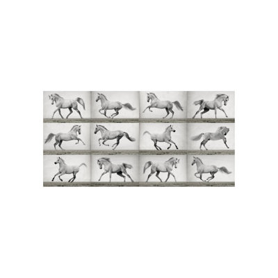 Horses In Motion Print by Sofia Fox