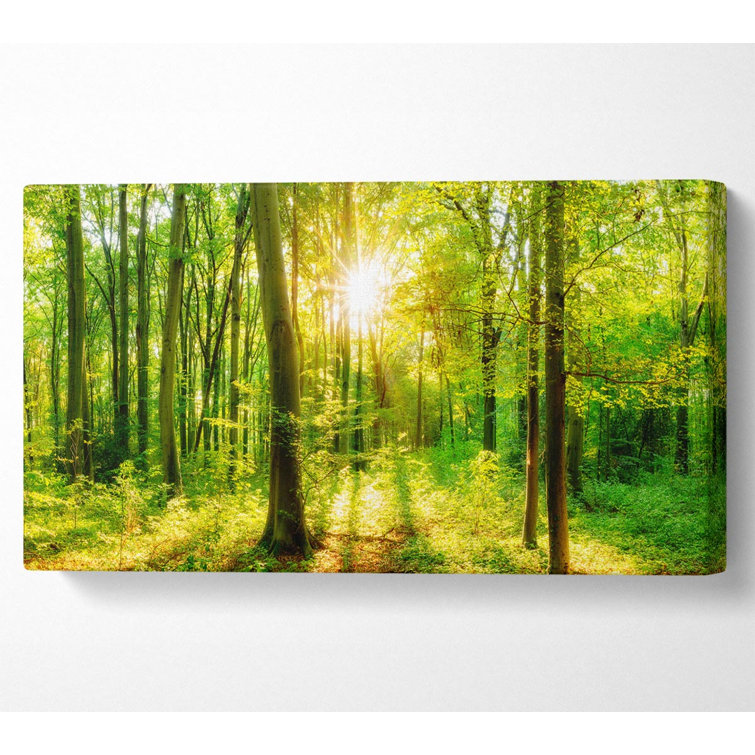Union Rustic Wrapped Canvas Print | Wayfair.co.uk