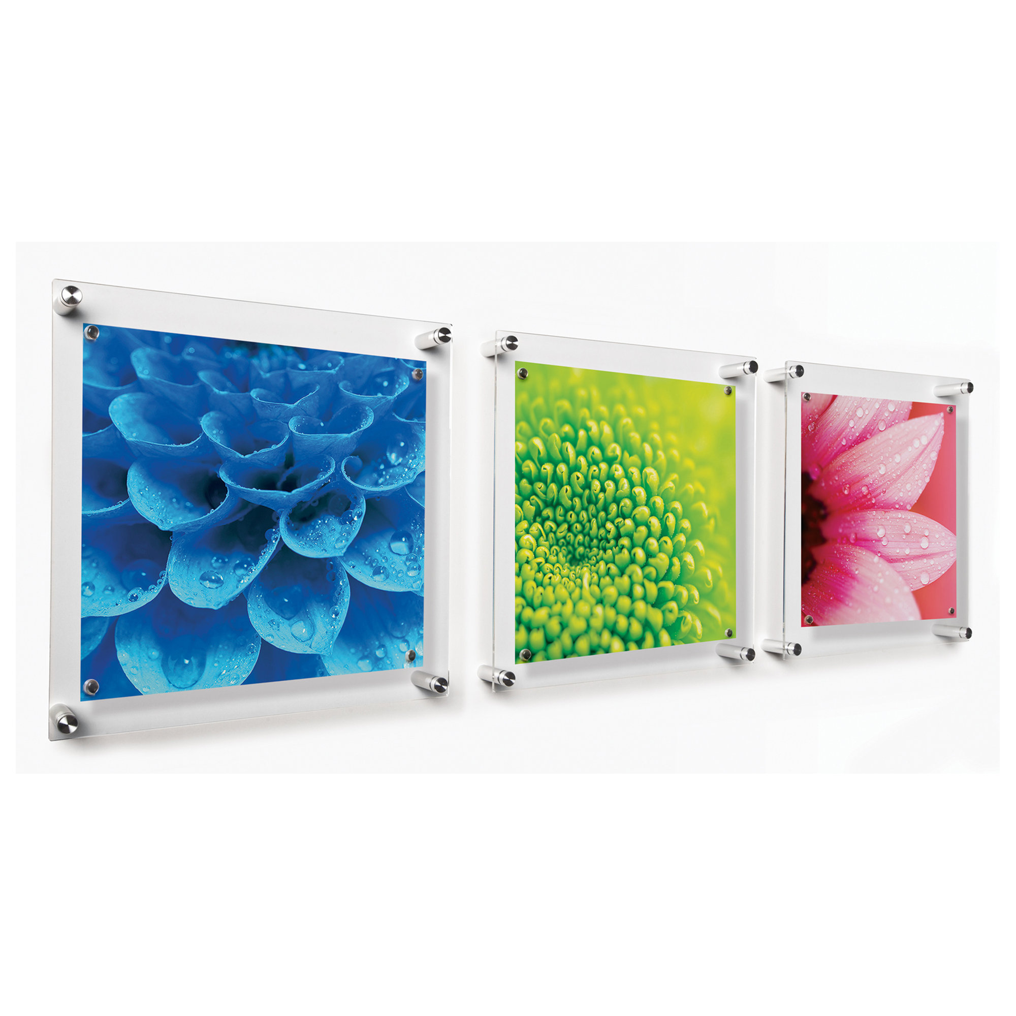 14" x 14" Trio Picture Frame, Clear