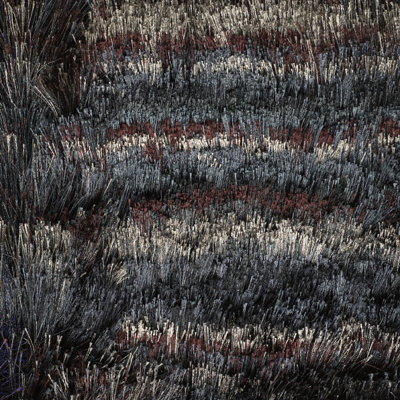 Savona Abstract Area Rug