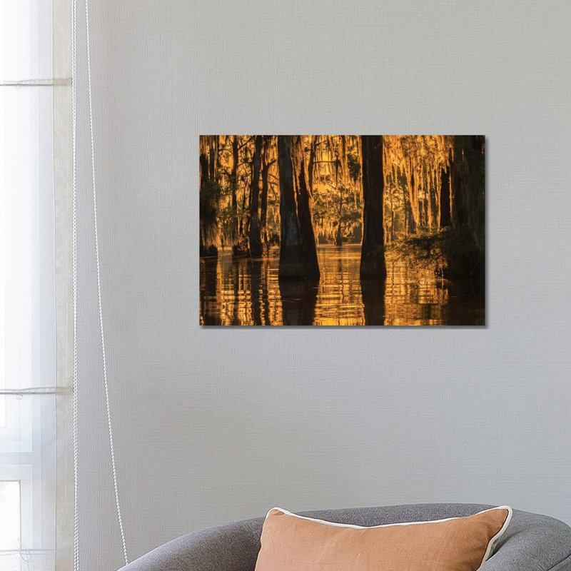 USA, Louisiana, Atchafalaya National Wildlife Refuge. Sunrise On Swamp. by Jaynes Gallery - Wrapped Canvas Gallery-Wrapped Canvas Giclée