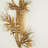 Albizia 3 - Light Design Wall Light