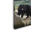 Kadey «Animal 32», impression sur toile-21651316