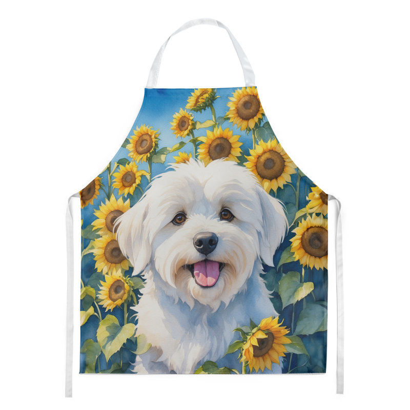 Coton de Tuléar au tablier tournesols