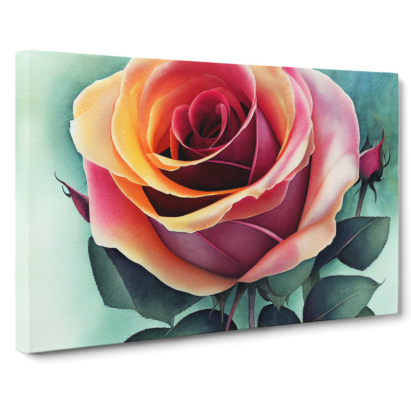 Magnificent Rose Flower - Wrapped Canvas Print, 50cm H x 76cm W x 3cm D