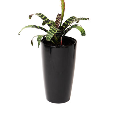 Emyrson Self-Watering Pot Planter