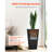 Tall Planter Set of 2 Square Tapered Planters 22 in for Outdoor Indoor