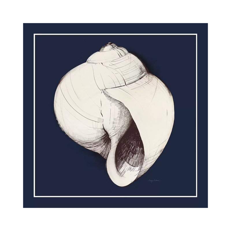 Coastal Shell I With Border Navy by Avery Tillmon - Wrapped Canvas Painting, 45.72 cm H x 45.72 cm W