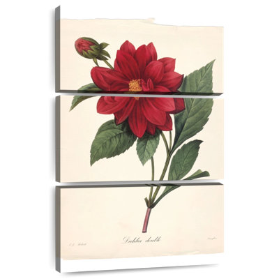 Harnek Red Botanical II
