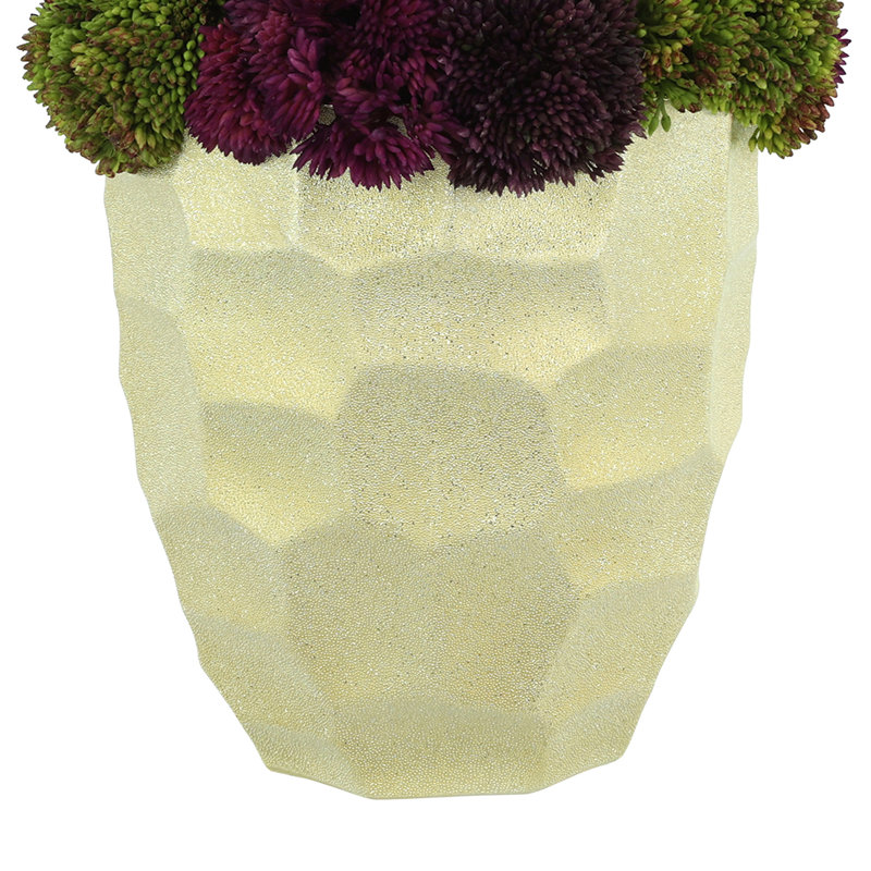 Helena Sedum Arrangement