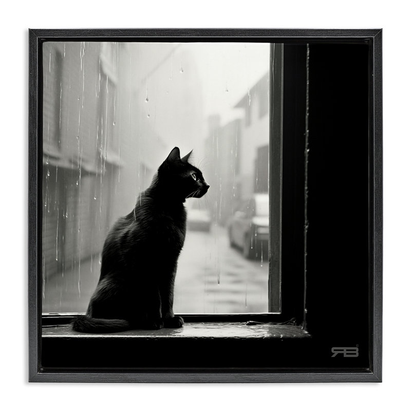 «Cat Gazing Rainy Window» par Roozbeh Bahramali, Cadre flottant noir de jais, H 25 po x l 25 po