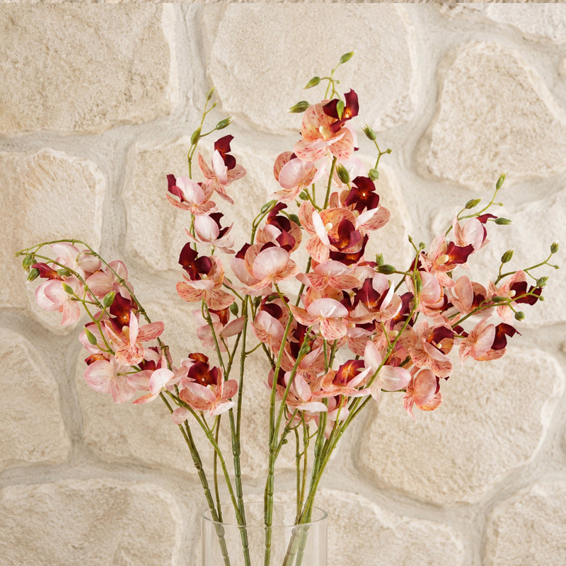 Pack of 6 x 80cm Cream Mini Orchid, Pink