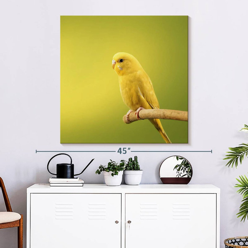 Brampt Perched Yellow Parakeet