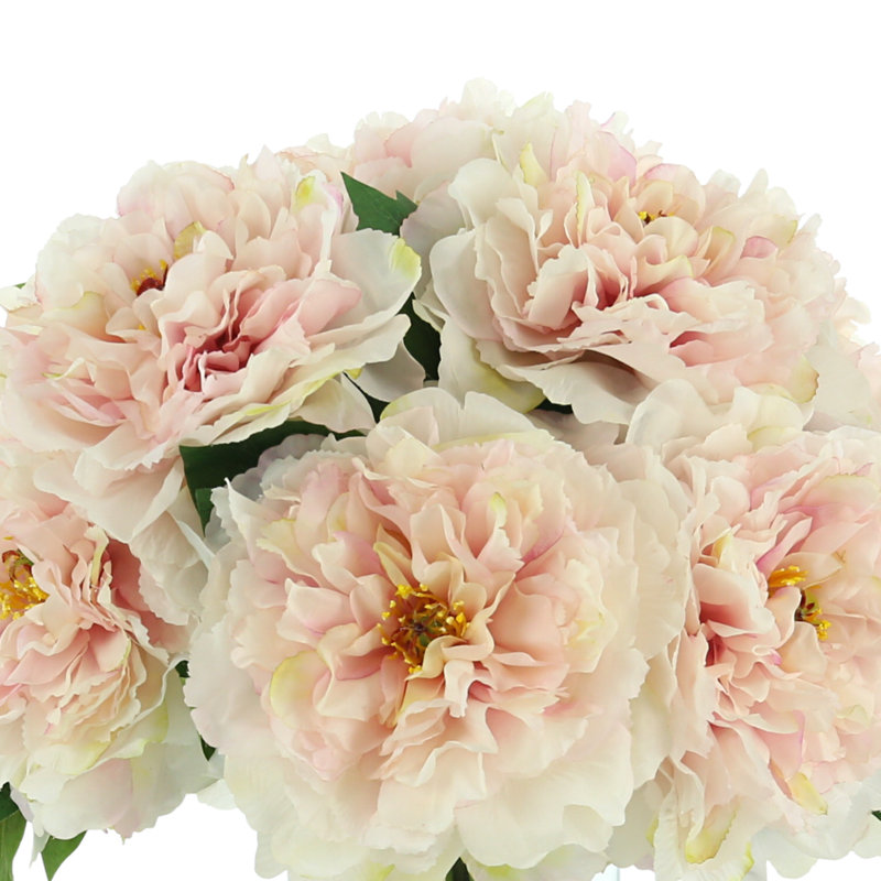 Pivoines disposées dans un vase en verre