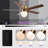 52" Gold Dimmable LED Ceiling Fan With Remote Control, 3 Color Lights, 6-Speed Reversible DC Motor, Double-Sided Wood Blades, 4"/10" Downrods