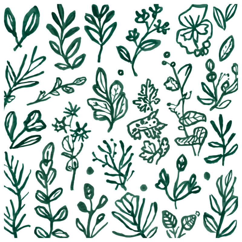 Rideaux, rideaux transparents et occultant Green Botanical Illustration, Blocage, 50 po x 80 po - 1 panneau